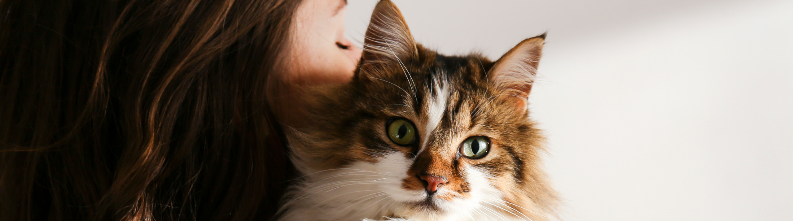 La santé et le bien être chez AOA