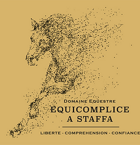 Logo Domaine équestre Équicomplice a Staffa