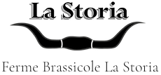Logo La Storia