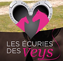 Logo Les écuries des veys