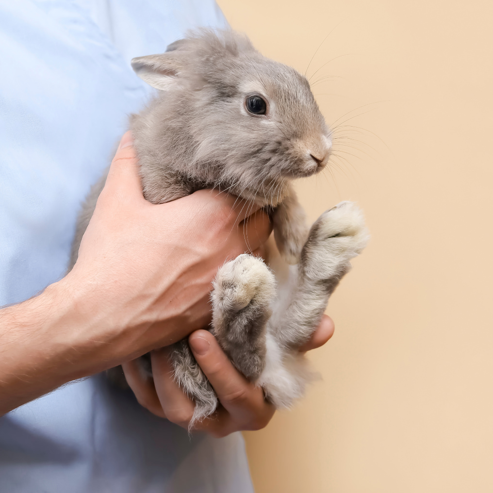Un métier en pleine évolution